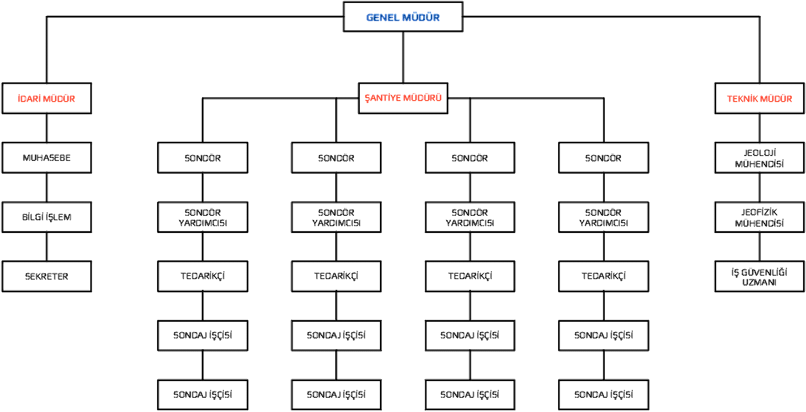Organizasyon Semasi DEMSU